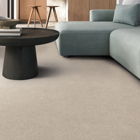 Tarkett Allure Carpet Collection