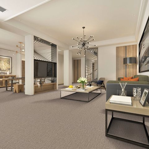 Tarkett Cadence Carpet Collection