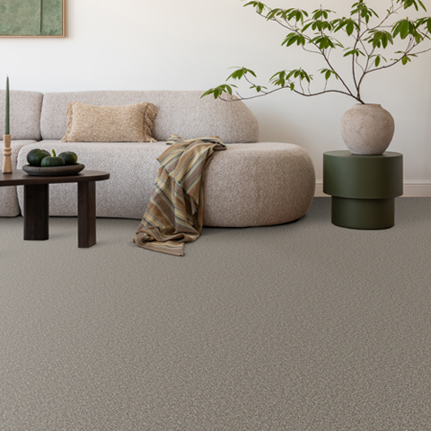Tarkett Adorn Carpet Collection